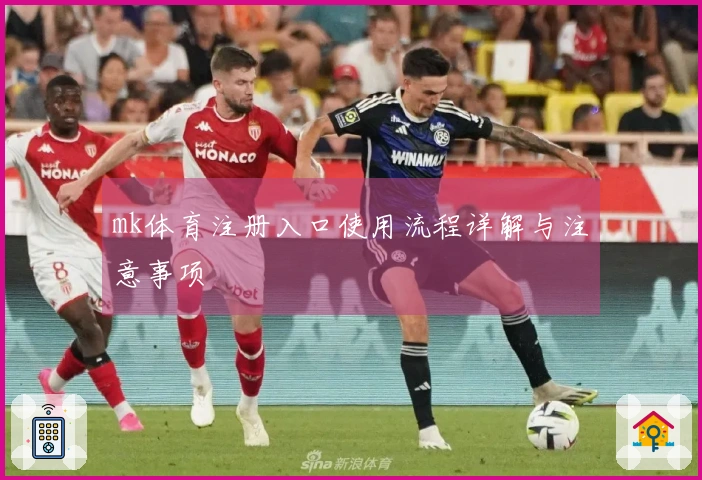 mk体育注册入口使用流程详解与注意事项